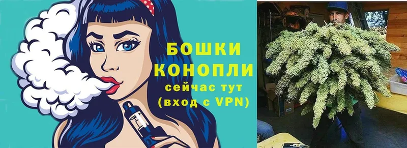 Шишки марихуана ГИДРОПОН  даркнет сайт  Полысаево 